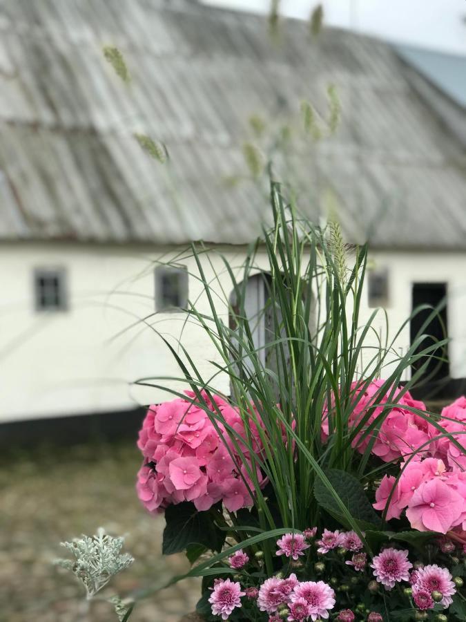 Landligt Ophold Pa Midtgard Leilighet Vamdrup Eksteriør bilde