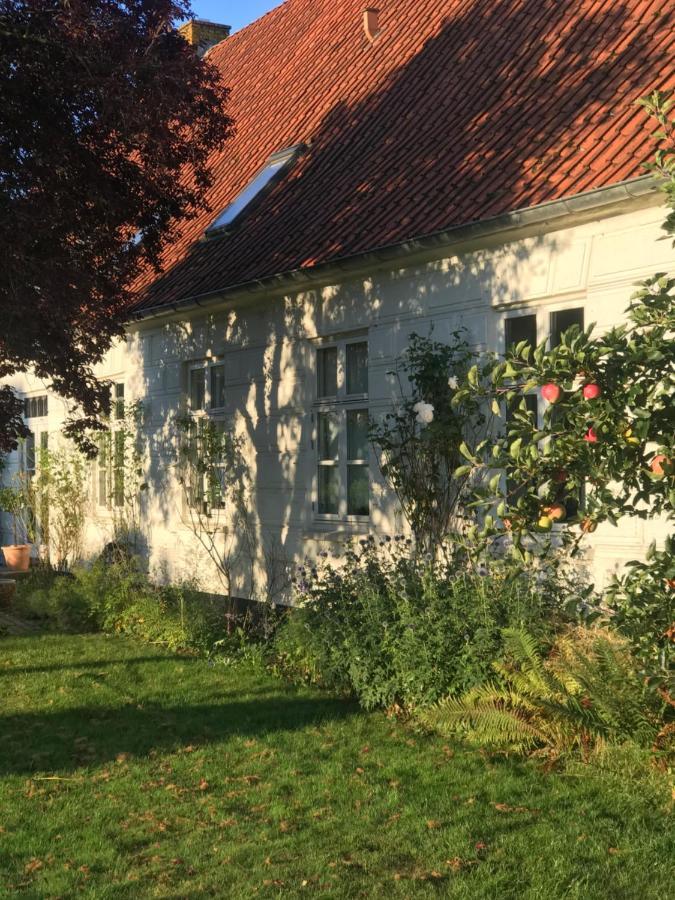 Landligt Ophold Pa Midtgard Leilighet Vamdrup Eksteriør bilde